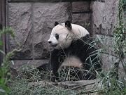 chiny 093